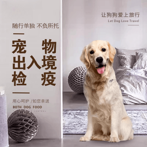 崇文区宠物托运到哥伦比亚猫狗宠物入境规定和